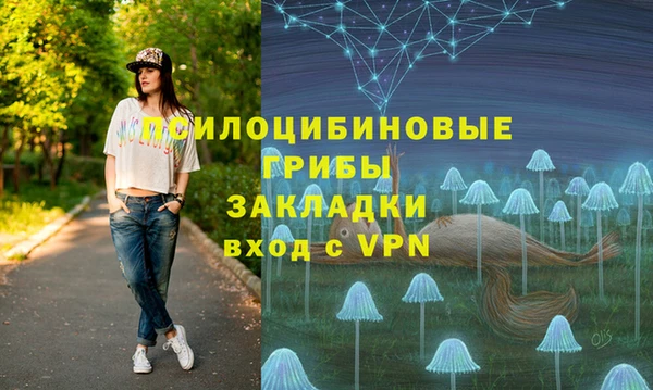 синтетический гашиш Медвежьегорск