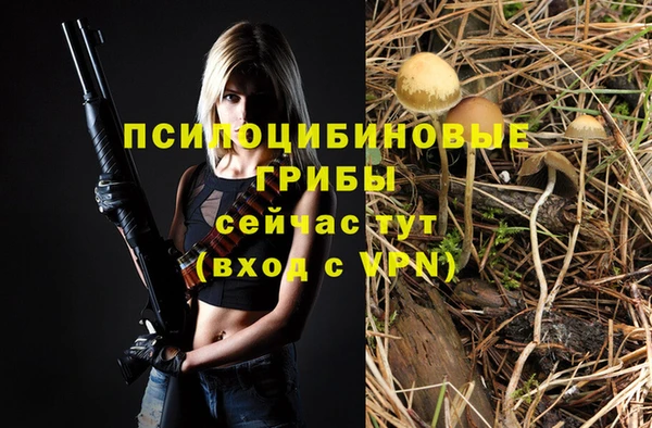 молекула духа Мегион