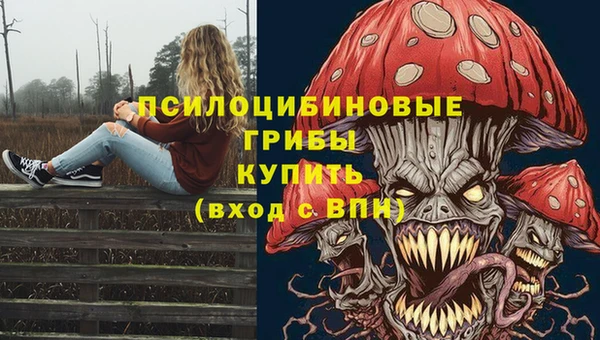 синтетический гашиш Медвежьегорск