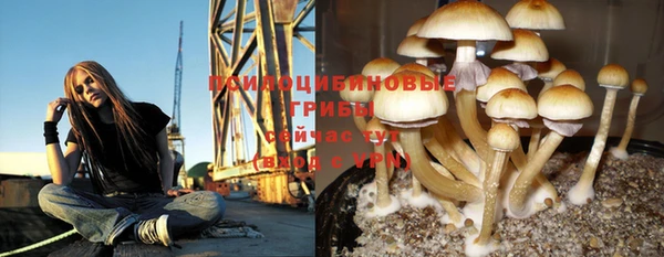 герыч Медногорск