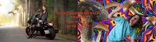 синтетический гашиш Медвежьегорск