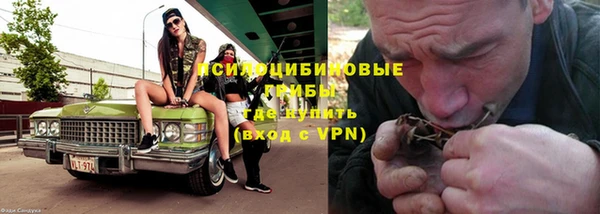 молекула духа Мегион